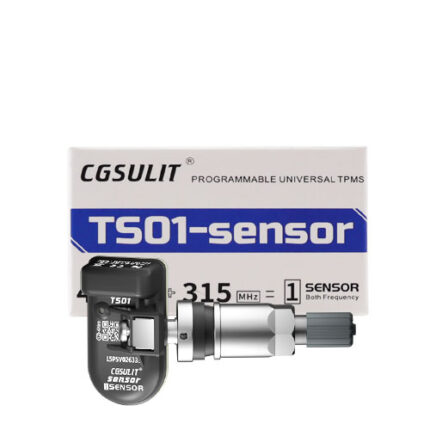 Capteur de pression des pneus en métal CGDI TS01 - carmatech